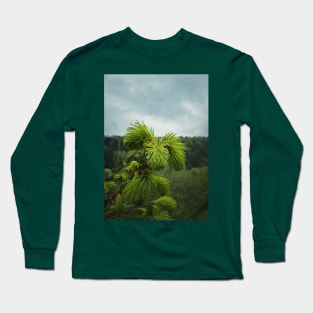 Young fir sprouts Long Sleeve T-Shirt